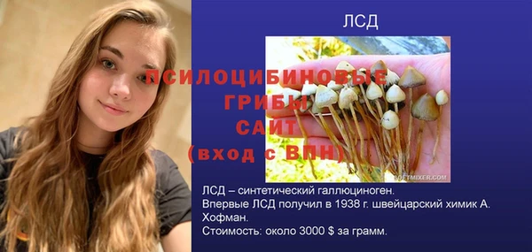 мдпв Верхний Тагил